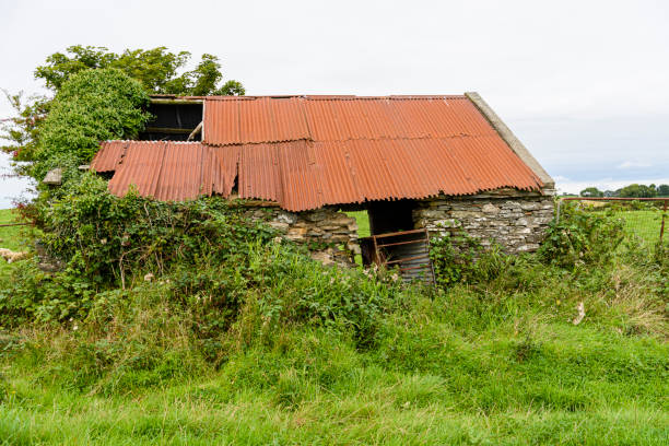 istock Derelict cattle shed with a rusted corrugated tin roof 1343815413