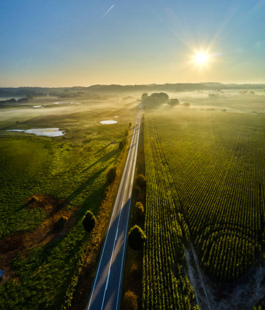 istock country road in Denmark 1343826263