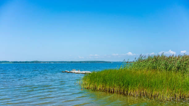 istock View at the Baltic Sea 1343828139