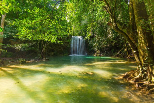 istock Beautiful waterfall view in thailand,Panoramic beautiful deep forest waterfall in Thailand 1343828487