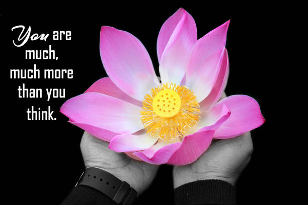 self love care and appreciation concept with positive message and pink sacred lotus flower in hands on black background. - lotus flower single flower red imagens e fotografias de stock