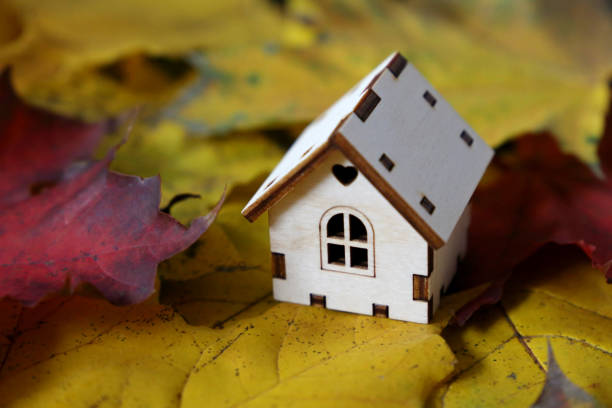 istock Wooden house model on maple leaves background 1343842329