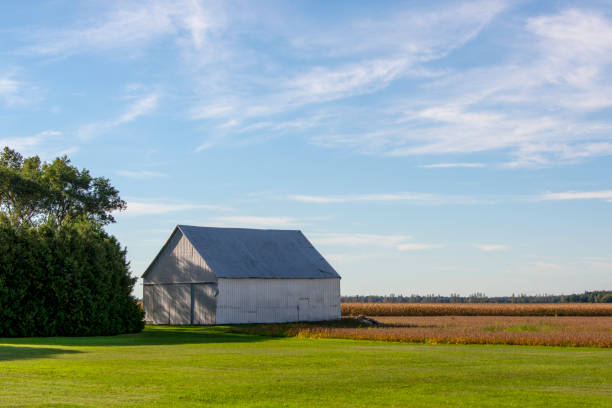 istock Old barn in agriculture region 1343844100