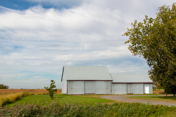 istock Old barn in agriculture region 1343844102