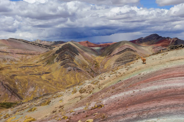 istock Palccoyo rainbow mountains, in Cusco, Peru. Colorful landscape in the Andes 1343847590