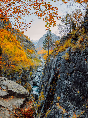 Mountain landscape with river, rocks and autumnal fall trees