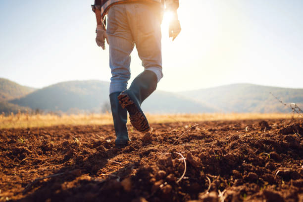 Farmer in the field An unrecognizable farmer walking down the field in his rubber boots. agricultural activity stock pictures, royalty-free photos & images