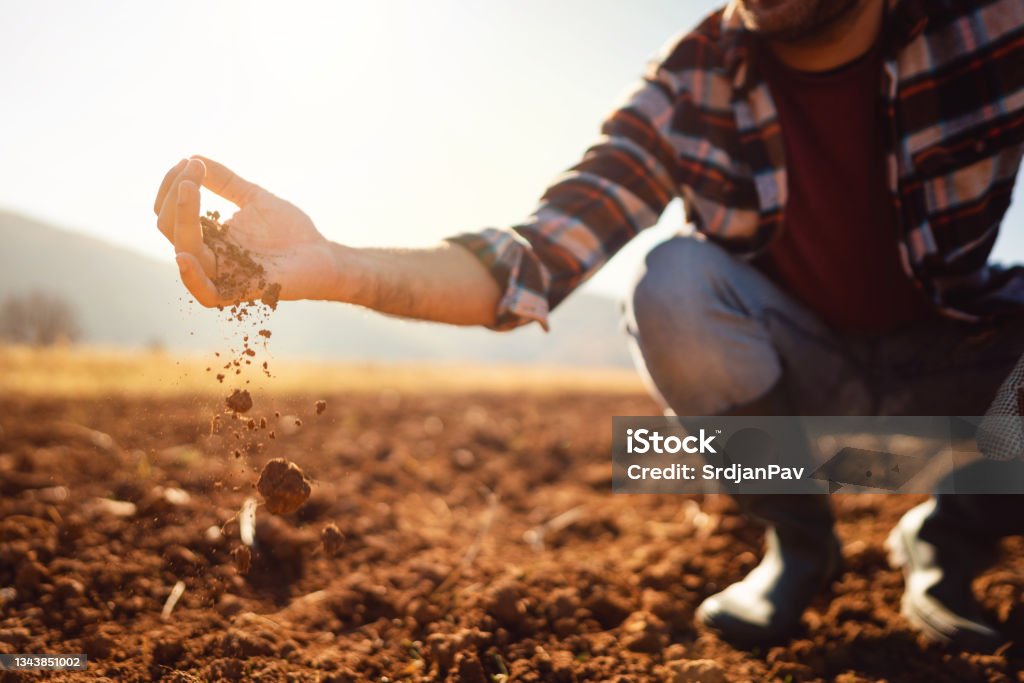 An unrecognizable farmer working in the field. He's analyzing his land. Dirt Stock Photo
