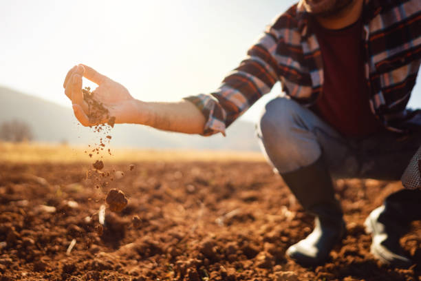 An unrecognizable farmer working in the field. He's analyzing his land. An unrecognizable farmer working in the field. He's analyzing his land. soil stock pictures, royalty-free photos & images