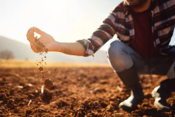 Photo of An unrecognizable farmer working in the field. He's analyzing his land.