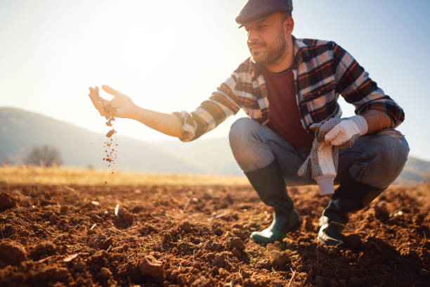 istock Farmer working in the field. He's analyzing his land. 1343851003