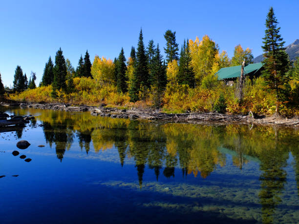istock Old cabin in forest of trees in Autumn fall by river water reflections 1343851434