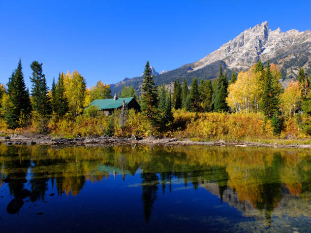 istock Old cabin in forest of trees in Autumn fall by river water reflections 1343851443