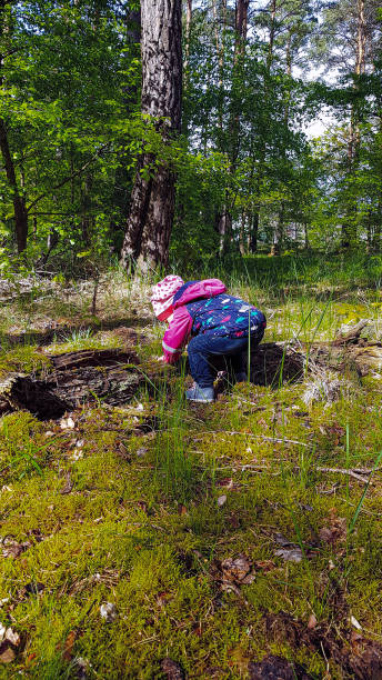 istock Girl scours the forest 1343851837