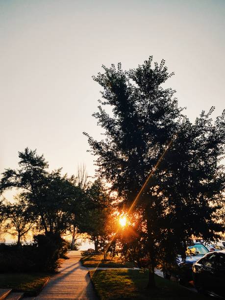 istock Fall Sunrise at the Lake 1343852789
