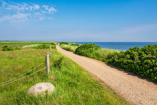 istock Path with grass in Nebel on the island Amrum, Germany 1343853112