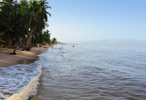 Lungi, Port Loko District, Sierra Leone: looking south along Lungi beach towards Freetown, vast extensions of coconut tree lined golden sand on the north side of the Sierra Leone river estuary