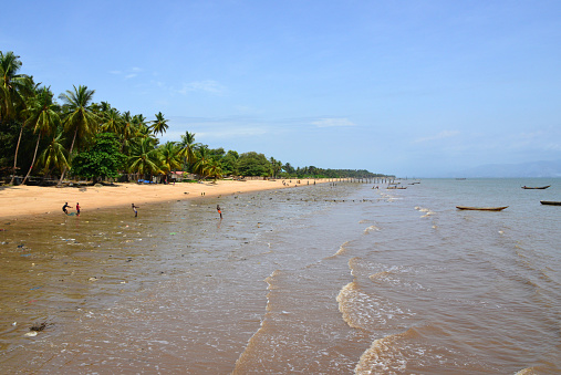 Lungi, Port Loko District, Sierra Leone: Lungi beach, vast extensions of coconut tree lined golden sand on the north side of the Sierra Leon estuary.