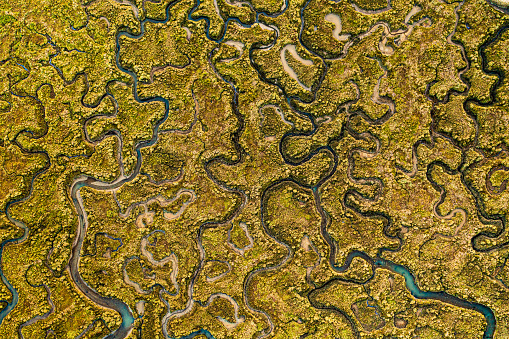 Aerial photo of Mersea Island's marshland.