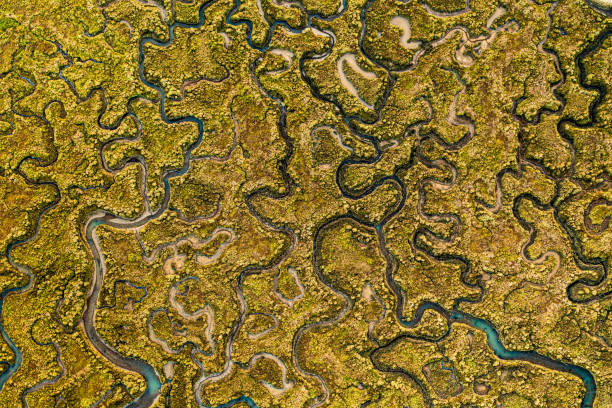Mersea Marshes Aerial photo of Mersea Island's marshland. essex england stock pictures, royalty-free photos & images