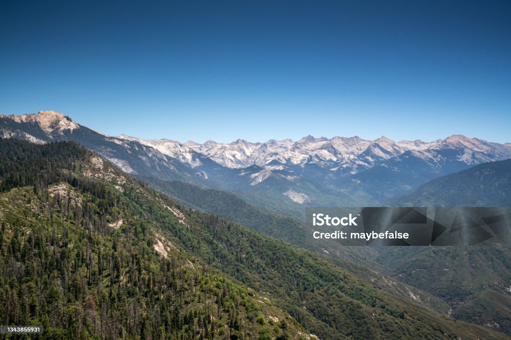 Sequoia national park landscape California Stock Photo