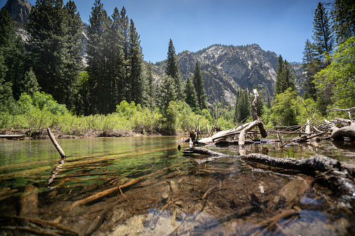 Landscape in Kings Canyon National Park