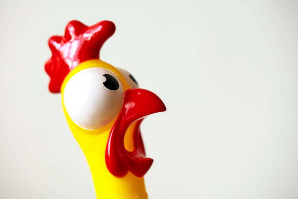 tête de poulet en caoutchouc surprise de près isolée sur blanc - bizarre photos et images de collection