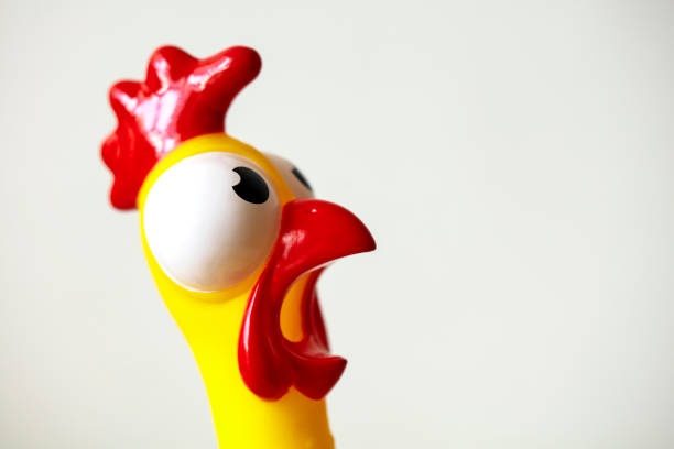 surprised rubber chicken head close up isolated on white - bizar stockfoto's en -beelden