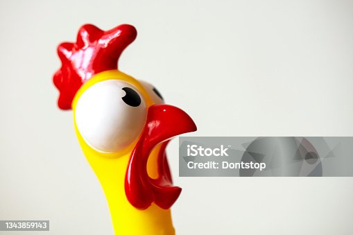 10,888 Pics For Funny Rooster Stock Photos, Pictures & Royalty-Free Images - iStock 10,888 Pics For Funny Rooster Stock Photos, Pictures & Royalty-Free Images - iStock