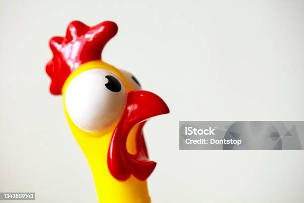 Surprised Rubber Chicken Head Close Up Isolated On White Stock Photo - Download Image Now