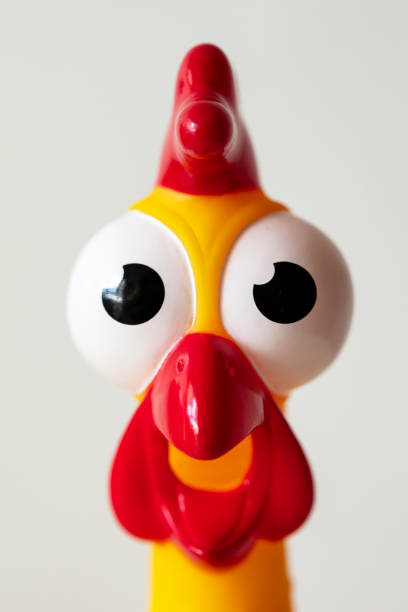 istock Surprised rubber chicken head close up isolated on white 1343859320