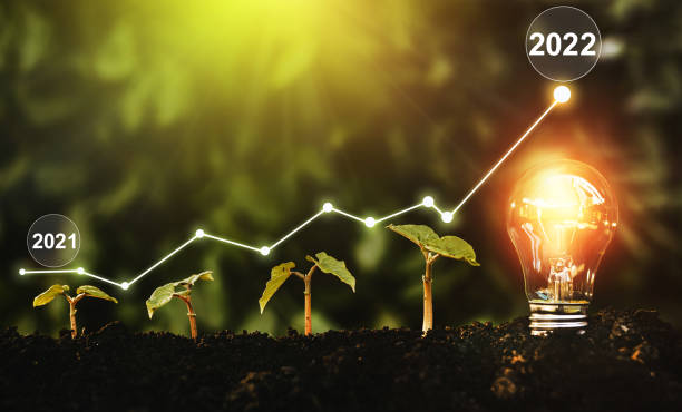 istock Seedlings are growing in soil with growth compared to year 2021-2022 and light bulb for innovations and ideas for the new year. Development to success in year 2022. 1343861118