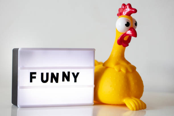 FUNNY Concept with Surprised rubber chicken
