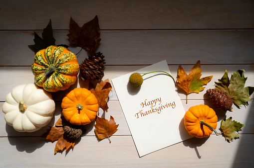 Autumn or thanksgiving greeting card