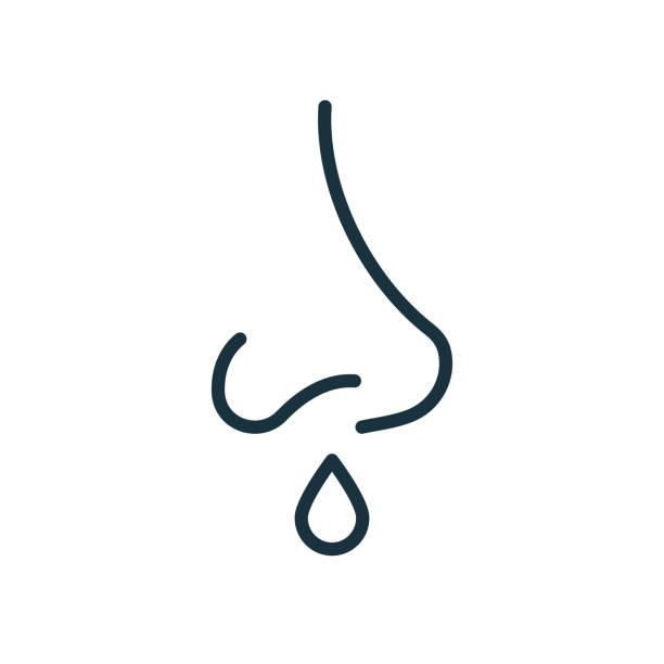 Runny Nose Line Icon. Sinusitis Symptom, Snot, Allergy or Cold Outline Icon. Nosebleed, Nasal Mucus Linear Pictogram. Coronavirus symptom. Editable Stroke. Isolated Vector Illustration Runny Nose Line Icon. Sinusitis Symptom, Snot, Allergy or Cold Outline Icon. Nosebleed, Nasal Mucus Linear Pictogram. Coronavirus symptom. Editable Stroke. Isolated Vector Illustration. sneezeweed stock illustrations