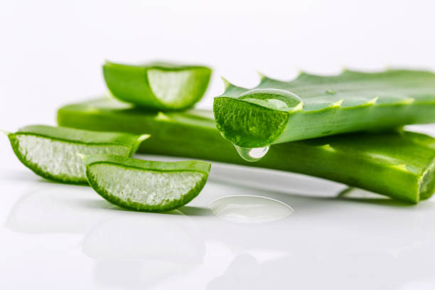 Aloe sliced Aloe sliced, isolated on a white background aloe vera gel stock pictures, royalty-free photos & images