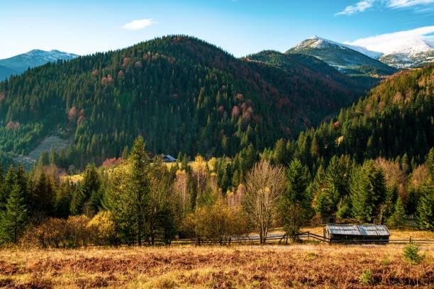 istock Beautiful hills covered with colorful autumn trees 1343865987