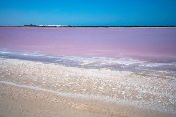 istock Visiting Pink Lakes in Mexico 1343866392