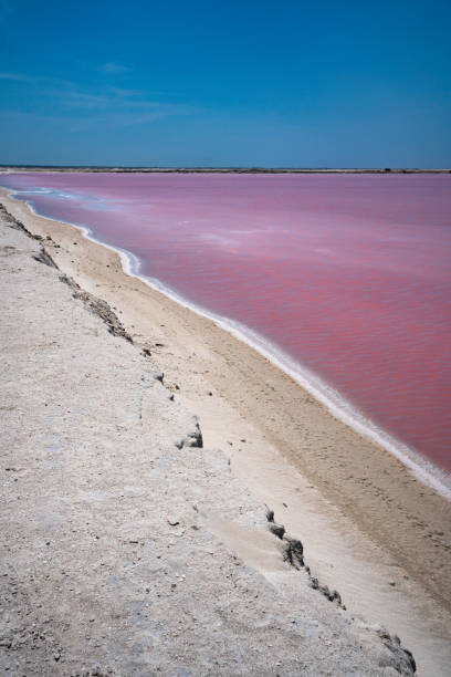 istock Visiting Pink Lakes in Mexico 1343866393