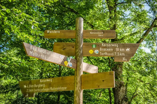 Several hiking signs on a crossroads in the Harz National Park with trees in the background