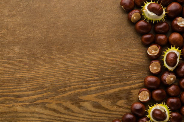 Fresh chestnuts on dark brown wooden table background. Closeup. Empty place for inspirational text, quote or sayings. Top down view.