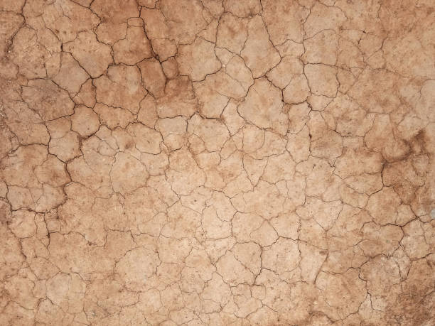 istock The ground has cracks in the top view for the background 1343870114