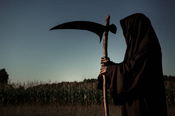 istock Grim Reaper standing in a tall grass holding a scythe. 1343871029