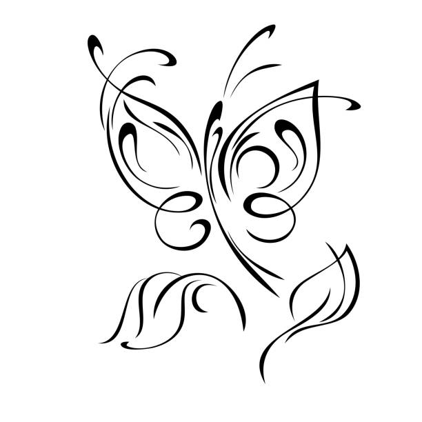 butterfly 15 decorative element with stylized butterfly and leaves. graphic decor butterfly tattoo stencil stock illustrations