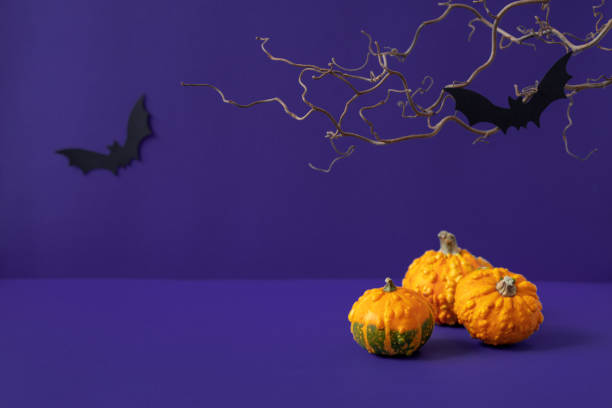 Three bright orange decorative pumpkins, scary tree branch and two black paper bats on deep purple background. Dark Halloween composition. Autumn holiday mockup. Spooky atmospheric still life photo