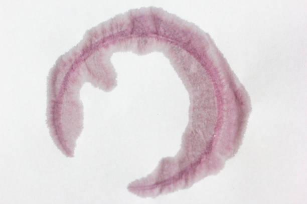 istock wine stain on white sheet. graphic resource. conceptual, nuances 1343874865