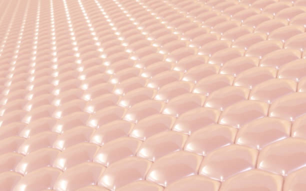 istock 3D Rendering Bright pink skin cells perspective macro. 1343877501