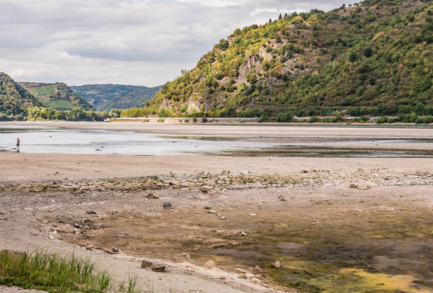 rhine with low water in summer 2018 - rio reno imagens e fotografias de stock