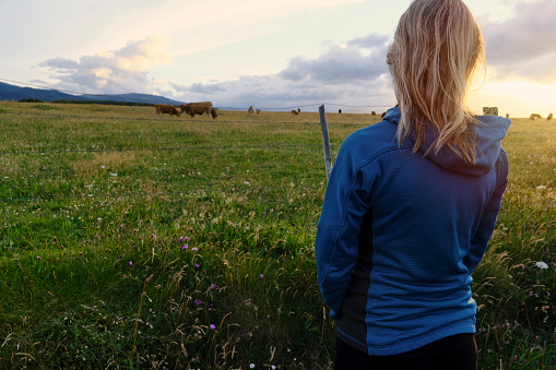 Rear view of a woman watching the sunset over a field with grazing cows.