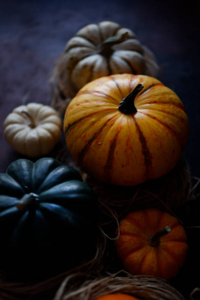 istock Pumpkin varieties among straws on a black-brown rust effect background 1343878543